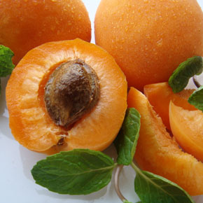Выращиваем абрикосы