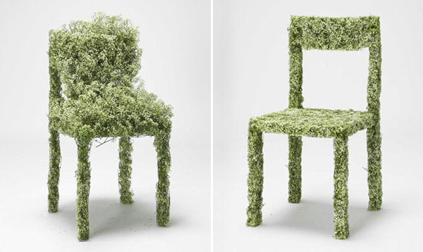 мебель из растений